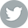 twitter-icon